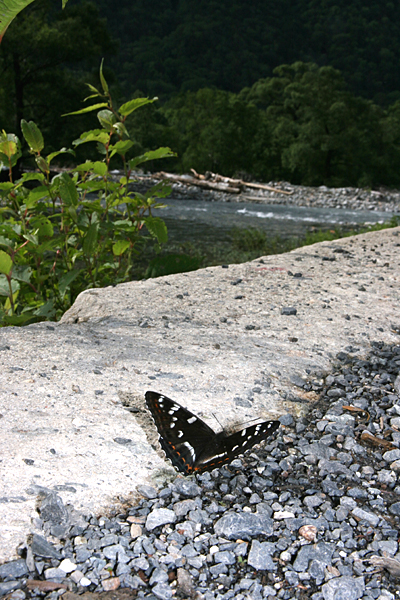 d0054625_15185871.jpg