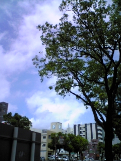 e0119327_1162764.jpg