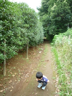 a0076428_3142298.jpg