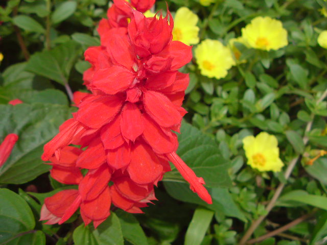 e0016828_1675080.jpg