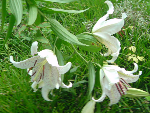 e0016828_2218543.jpg