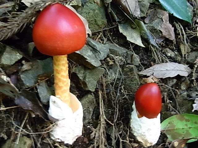 f0009128_2142281.jpg