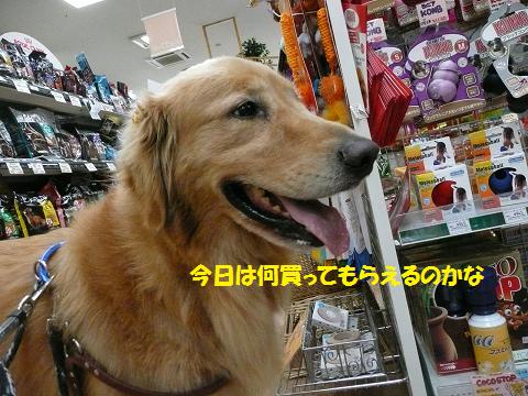 f0114128_18425539.jpg