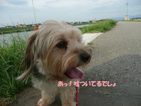 f0114128_18552857.jpg
