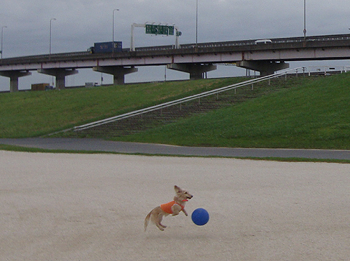 c0117831_13255112.jpg