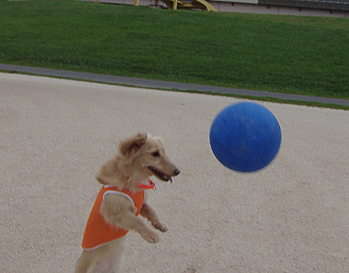 c0117831_13264890.jpg