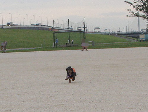 c0117831_1327155.jpg