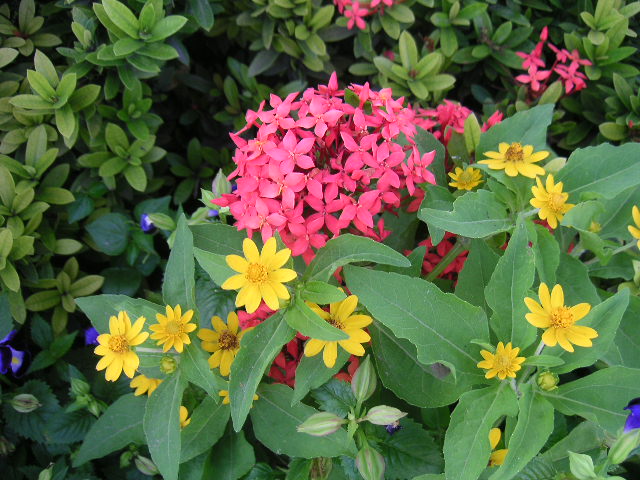 c0127933_8451565.jpg