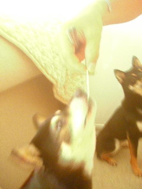e0025240_09325.jpg