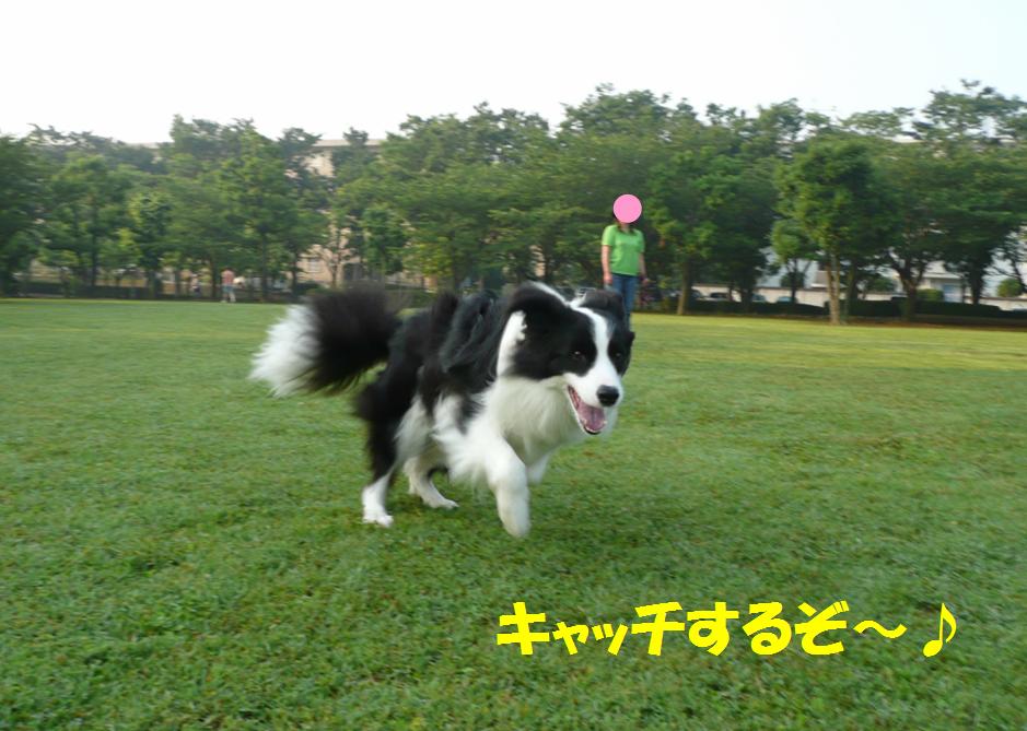 c0147241_22314933.jpg