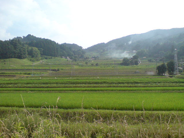 b0037544_1734222.jpg