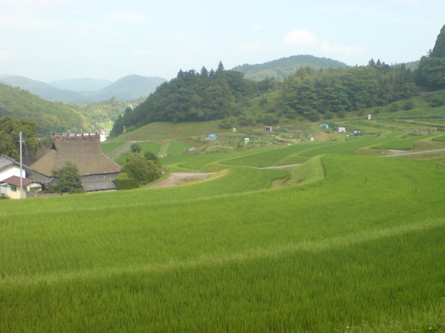 b0037544_17342293.jpg