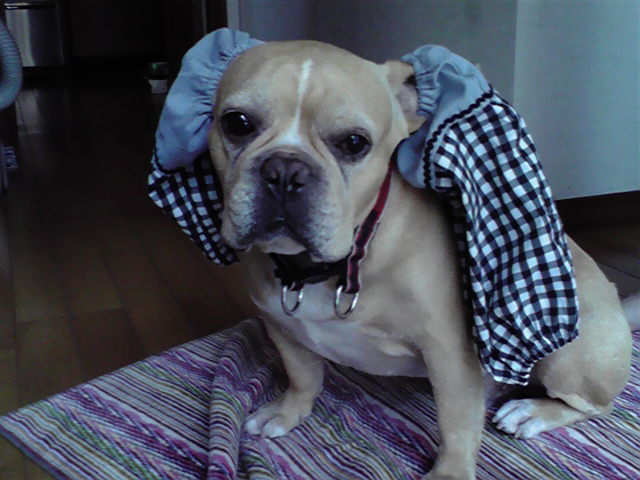 f0090344_14291573.jpg