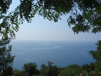 c0185445_11202790.jpg