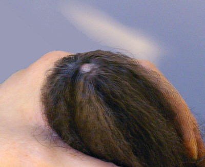 d0026745_18551197.jpg