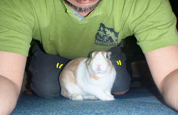 我が家はバナナはngで びーち はうす 我が家はバナナはngで びーち はうす