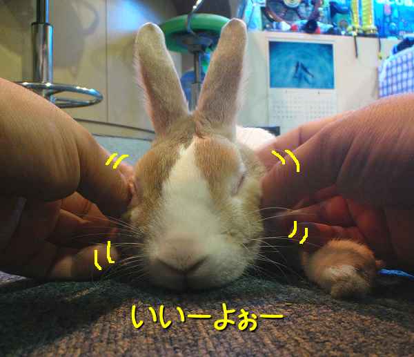 我が家はバナナはngで びーち はうす 我が家はバナナはngで びーち はうす
