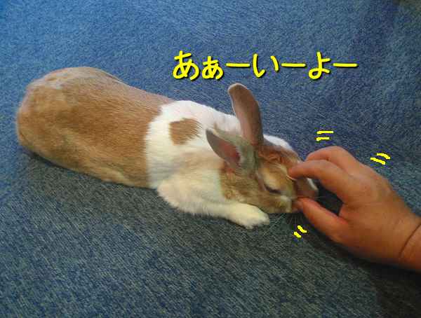 我が家はバナナはngで びーち はうす 我が家はバナナはngで びーち はうす