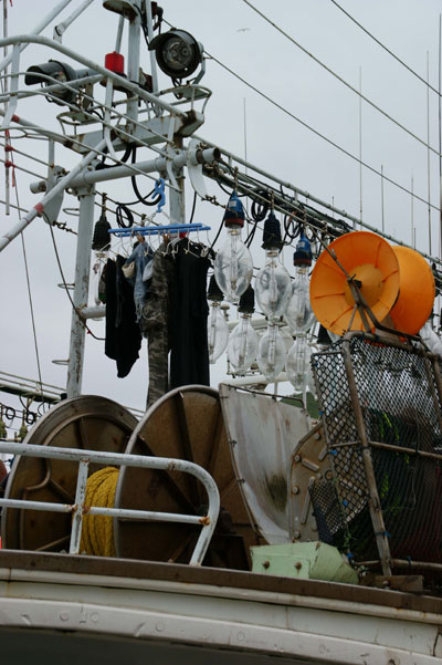 e0011951_2021740.jpg