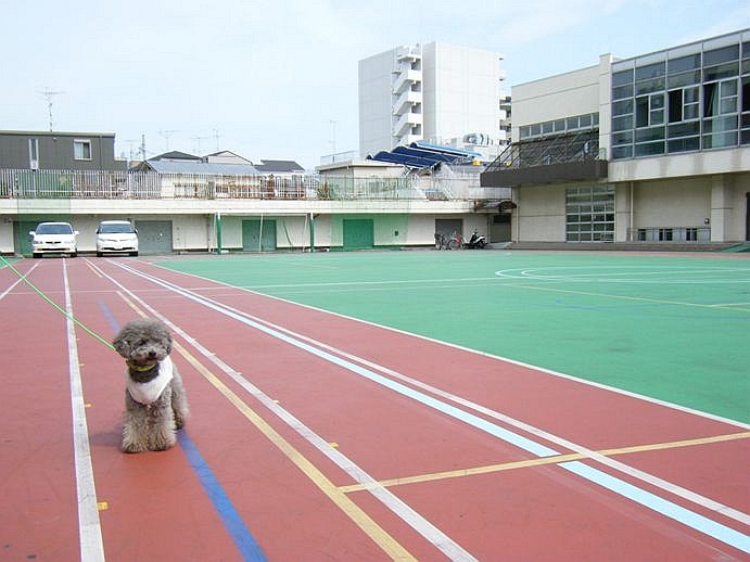 e0129656_22511778.jpg