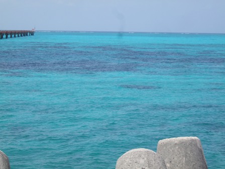 c0111557_23525787.jpg