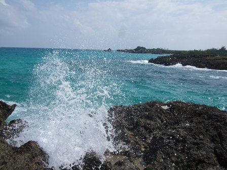 c0111557_23534553.jpg