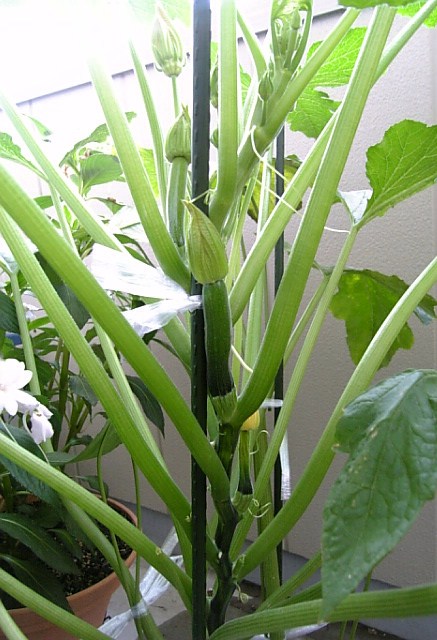 c0115560_1032554.jpg