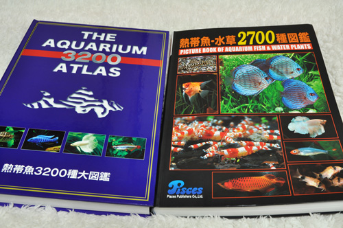 THE AQUARIUM 3200 ATLAS -熱帯魚3200種大図鑑- : AQUALiving