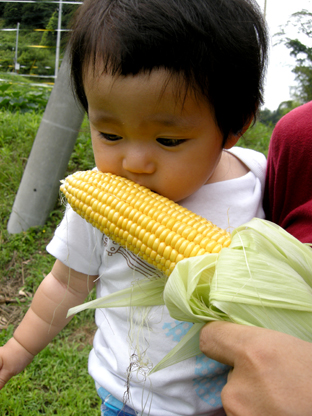 d0069465_8493424.jpg