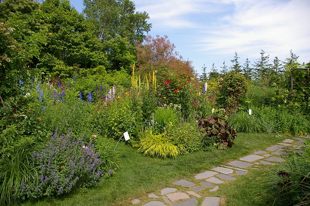 a0135366_1027043.jpg