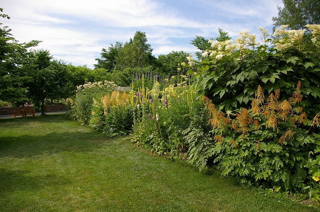 a0135366_10271648.jpg