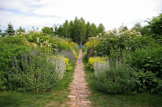 a0135366_10281245.jpg