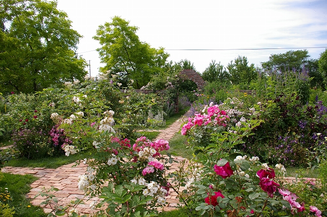 a0135366_1029241.jpg