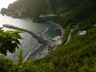 悪石島_b0139168_1037669.jpg