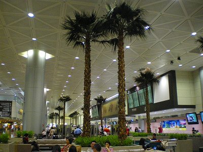 b0056570_22245070.jpg