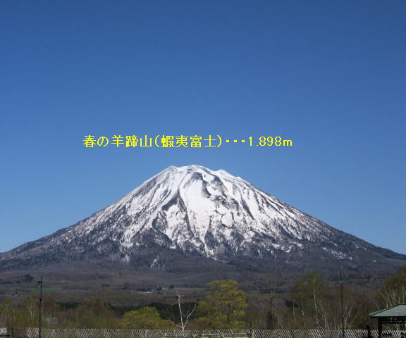 d0126573_15195853.jpg