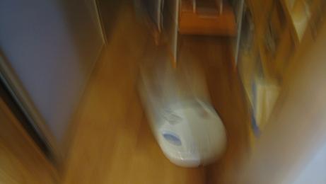 \(◎o◎)/! ・・・孫が大騒ぎ!_a0107574_975099.jpg