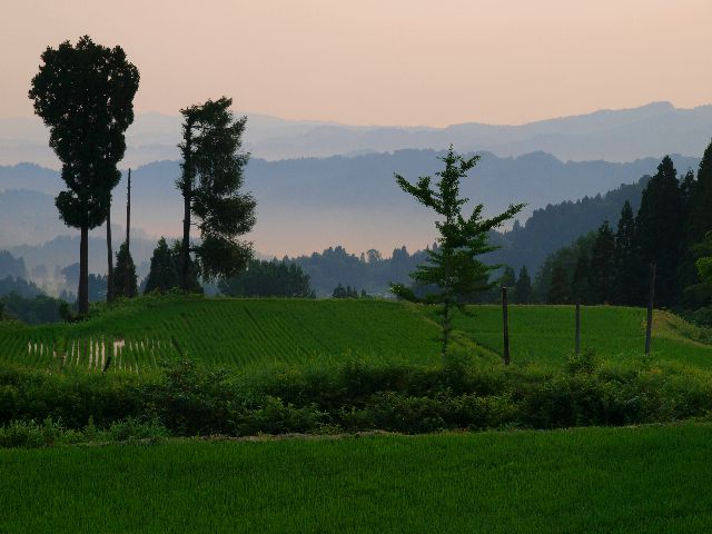 a0025576_14534195.jpg