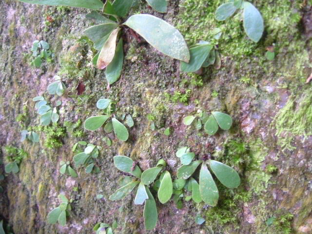 a0067578_90321.jpg