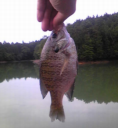 c0035980_10513737.jpg
