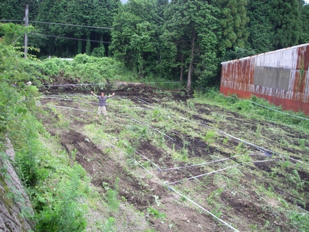 c0035980_1053170.jpg