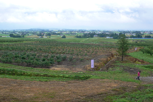 b0144882_16284260.jpg