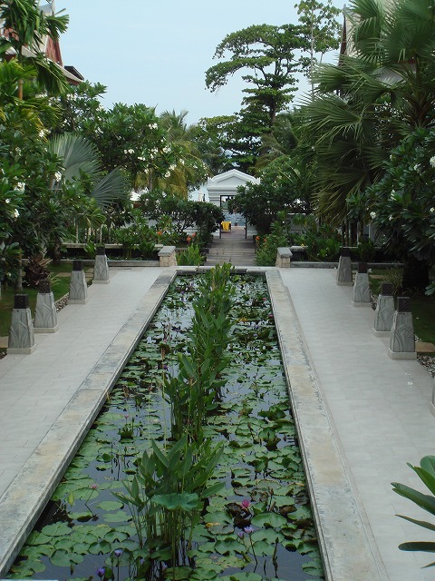 c0096685_2233343.jpg