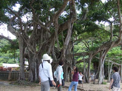 風の旅行社ご一行様、加計呂麻巡り！ _e0028387_1551477.jpg