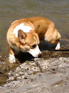f0200795_9522055.jpg