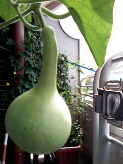 c0037701_23233460.jpg