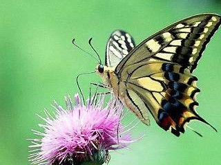 c0125702_14514323.jpg