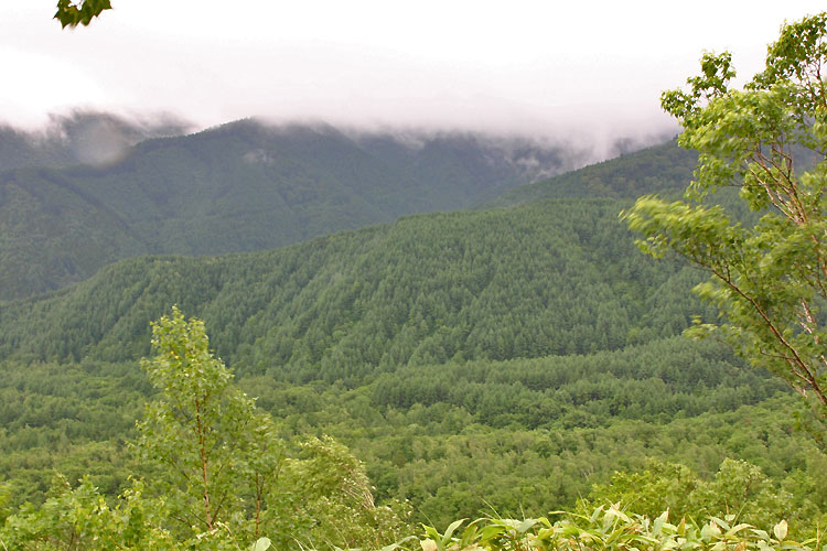 c0067206_16175423.jpg