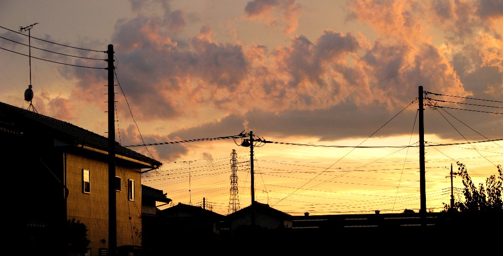 a0004023_22194625.jpg