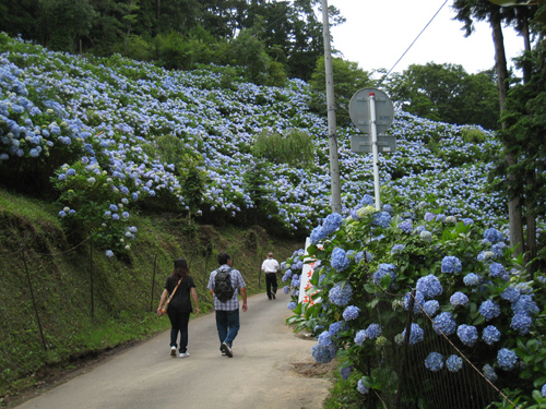 ハイエースで巡る房総の旅_f0126932_23231241.jpg